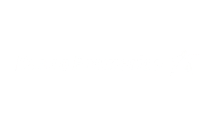 BANCO PROMERICA